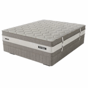 Brulee  Restonic Bedset